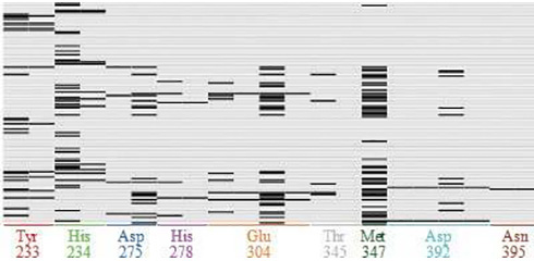 Protein Ligand lnteraction Fingerprints （PLIF）