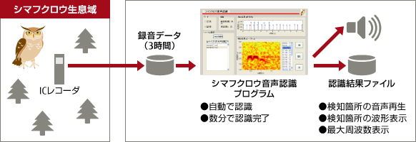 シマフクロウの生息域調査のイメージ図