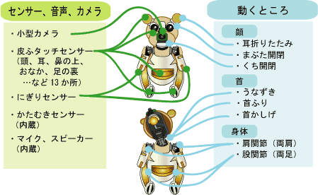 小型カメラ、皮膚タッチセンサー（頭、耳、鼻の上、おなか、足の裏、など13箇所）、にぎりセンサー、かたむきセンサー（内臓）、マイク、スピーカー（内臓）、動くところ。顔には、耳の折りたたみ、まぶたの開閉、くちの開閉。首には、うなずき、首ふり、首かしげ。身体には、肩関節（両肩）、股関節（両足）。