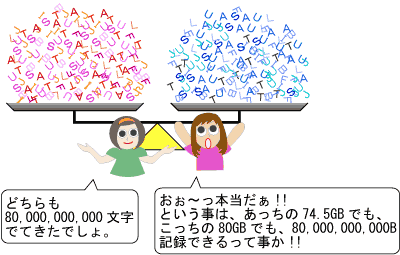 どっちも800億文字記録できるんだね