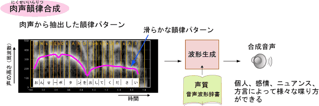 肉声韻律合成は、肉声から韻律を自動抽出するので、肉声から抽出した韻律をあてはめて生成すると、個人、感情、ニュアンス、方言など様々な喋り方ができます。