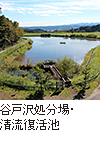 谷戸沢処分場・清流復活池