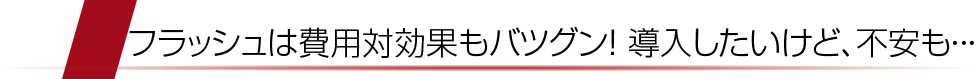 フラッシュは費用対効果もバツグン！ 導入したいけど、不安も・・・