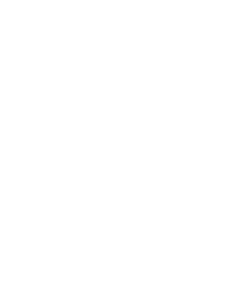 Robotic Process Automation (RPA)