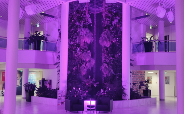 Purple Lightup Fujitsu Nederland