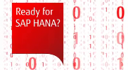 Simplify Decision Making with SAP HANA® and Fujitsu Video