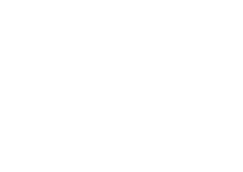 icon security investment