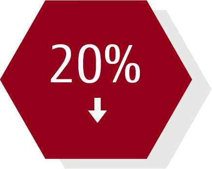 Hexagon - 20% Hexagon - 20%