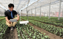 Smart Agriculture Iwata