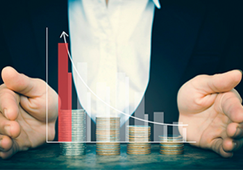 ERP Investment