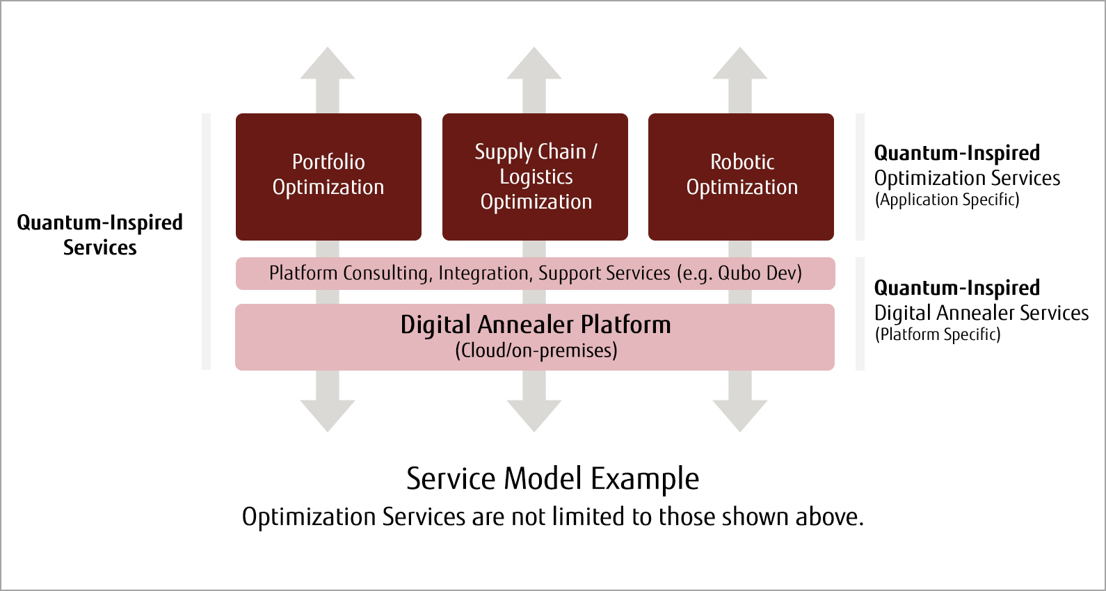 Quantum-Inspired optimization services