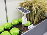 ph_agriculture