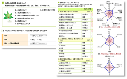 A stress diagnostic tool and individual results