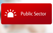 Public Sector Public Sector
