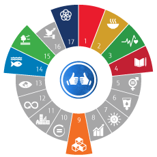 Social Action in UN SDGs