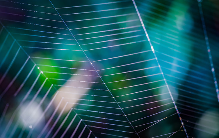 Social Digital Twin Technology