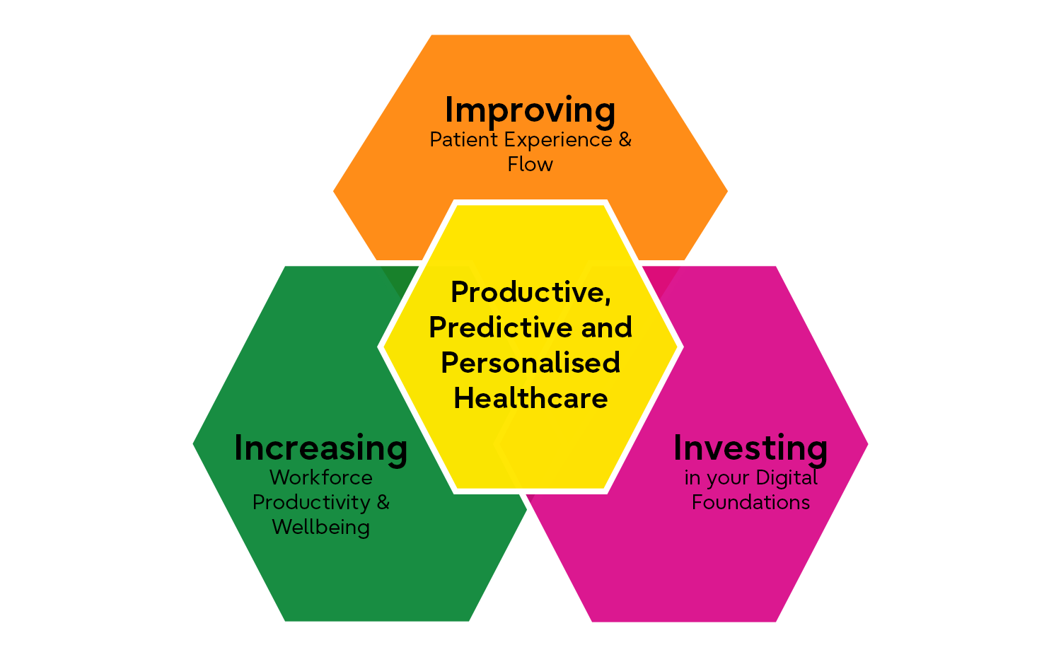 Productive, Predictive and Personalised Healthcare