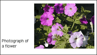 thumbnail image with no alt description thumbnail image with no alt description
