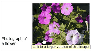 thumbnail image with a link target in the alt description thumbnail image with a link target in the alt description