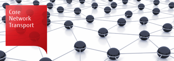 Core Network Transport - Fujitsu United States