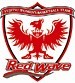 RedWave Women's Basketball Team Logo