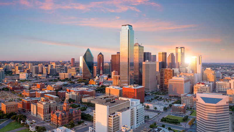 State-Of-Texas-Banner