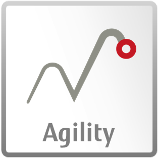 Traditional Values - Agility